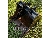 CAT 301-302 18DIG BUCKET, caçambas, Equipamentos Construção