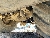 CAT 420-07HT, buldoexcavatoare, Constructii