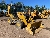 CAT 420-07HT, buldoexcavatoare, Constructii