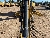 CAT 420-07HT, buldoexcavatoare, Constructii