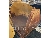 CAT 950K/962K PIN ON BUCKET, attrezzatura - benna, Attrezzature Da Costruzione
