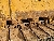 CAT D6N LGP, Crawler dozers, Construction