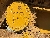 CAT D6N LGP, Crawler dozers, Construction