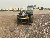 CAT TH255C CB, telehandler, Construction