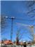 Linden Comansa 16 LC 260, 2012, Tower cranes