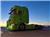 Scania S730, hydraulikk, Opptrukket hytte, 2017, Tractor Units
