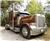 Peterbilt 379, 1994, Conventional Trucks / Tractor Trucks