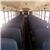 [] IC Bus CE200, 2009, 기타 버스
