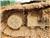 John Deere 300G LC, 2020, Excavadoras sobre orugas