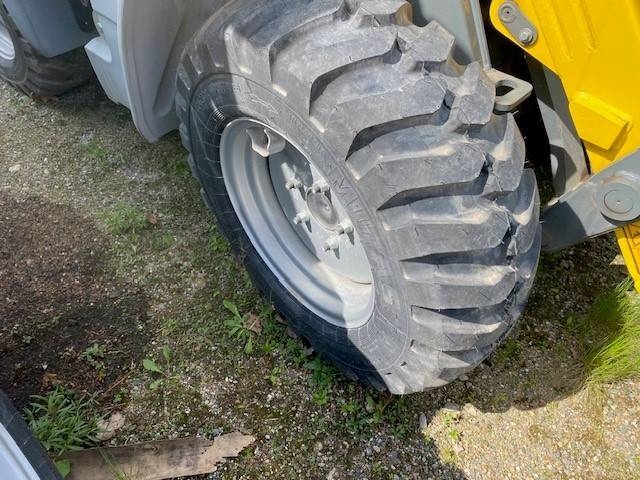 Kramer 5035 MIETE / RENTAL Niedrigkabine (12002042)