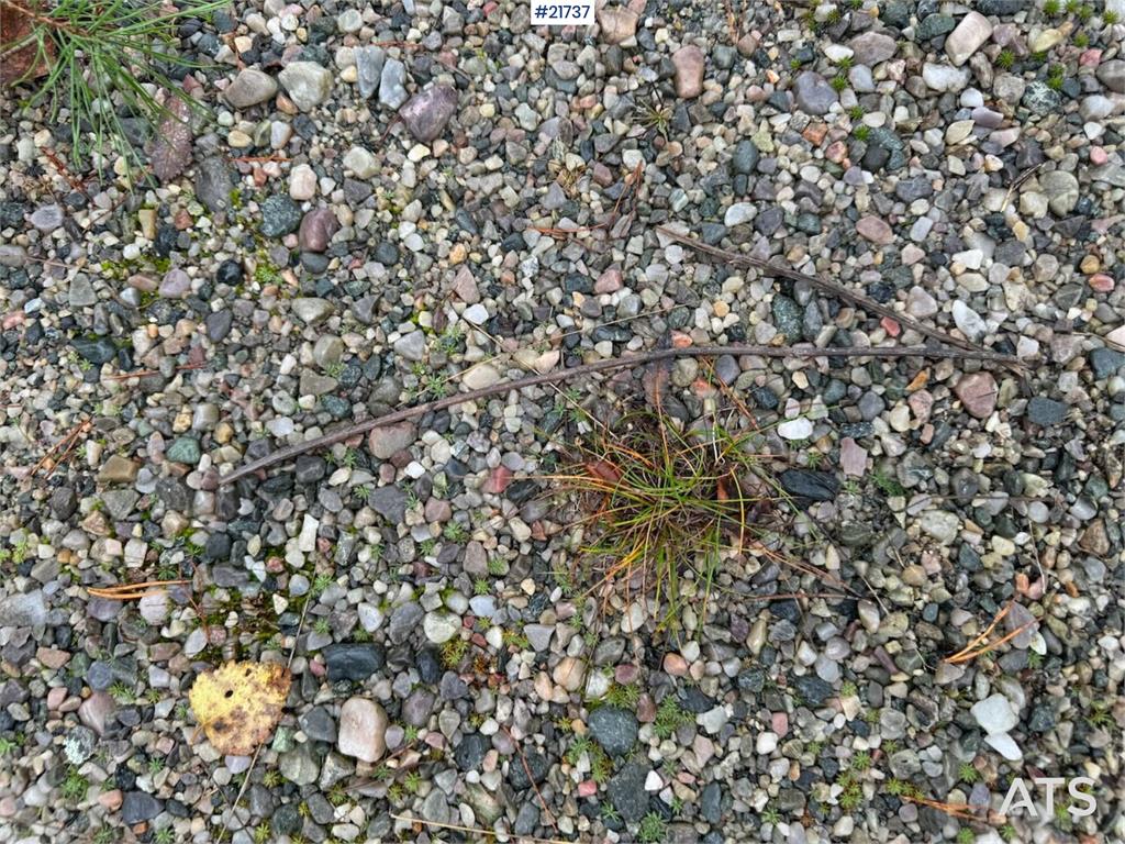 [Other] Transportbånd transportbånd