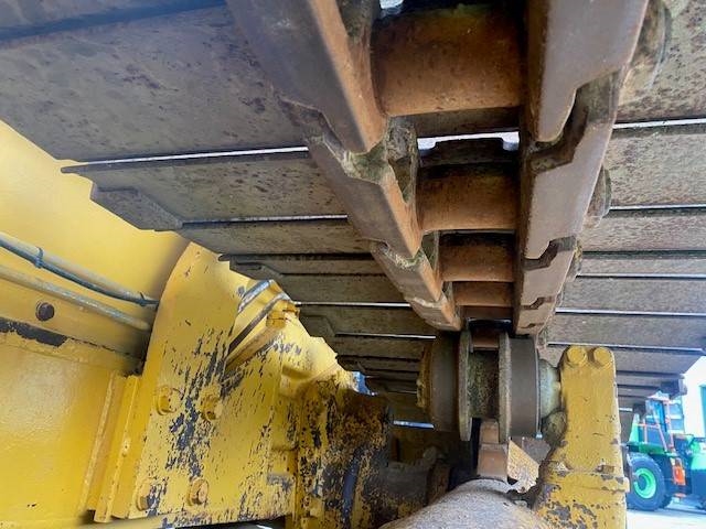 Komatsu D 58 P-1 MIETE / RENTAL (12005516)