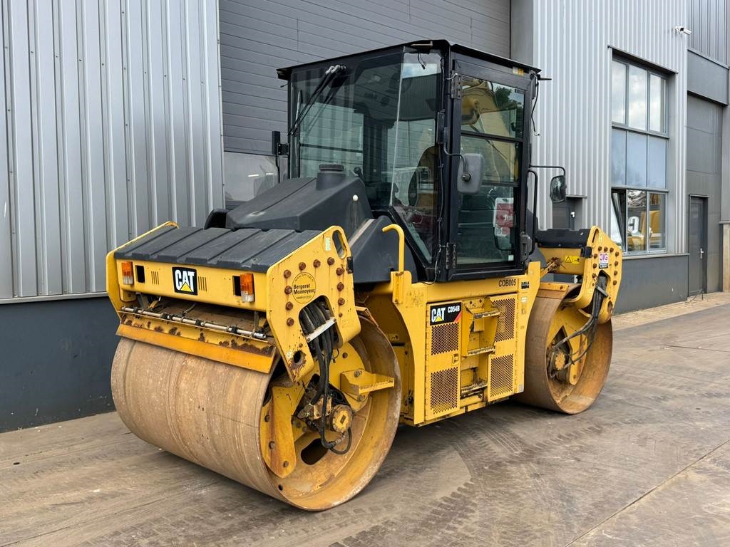 CAT CD54B