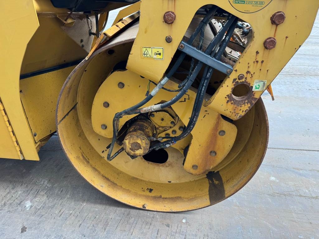 CAT CD54B