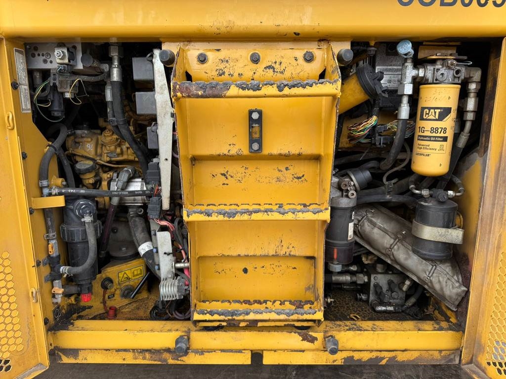 CAT CD54B