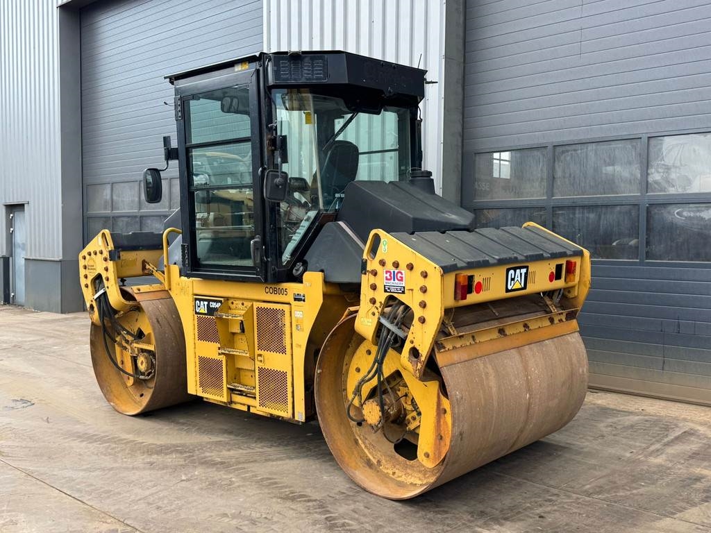CAT CD54B