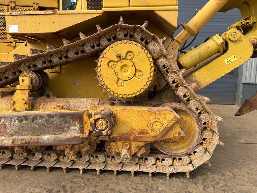 CAT D10N