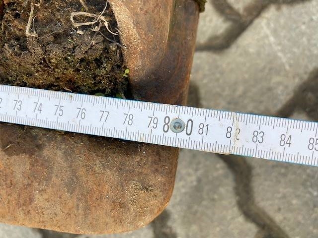 [Other] (12005277) 0.80 m Tieflöffel / bucket SMP2