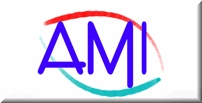 AMI Group LTD