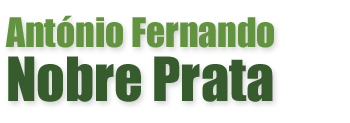 António Fernando Nobre Prata