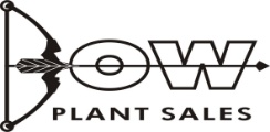 Bow Plant Sales