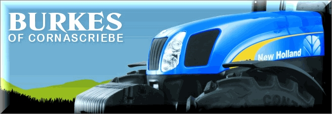 Burkes Of Cornascriebe Ltd