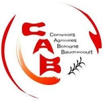 company logo