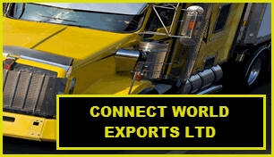 CONNECT WORLD EXPORTS LTD