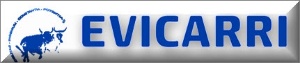 Evicarri S.p.a