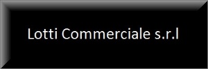 LOTTI COMMERCIALE S.R.L.