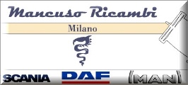 Mancuso Ricambi