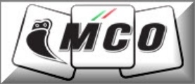 MCO Srl