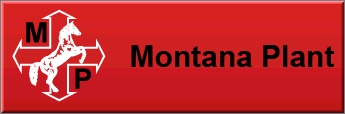 Montana Plant