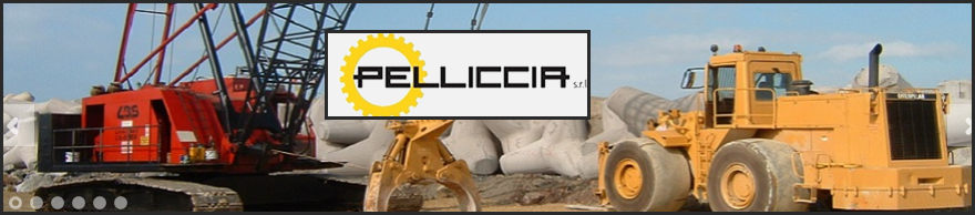 Pelliccia S.r.l.