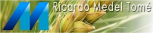 RICARDO MEDEL TOME, S.L.