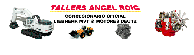 TALLERES ANGEL ROIG, S.L.