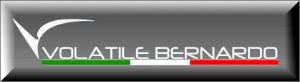 VOLATILE BERNARDO SRL
