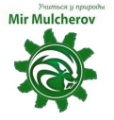Мир Мульчеров