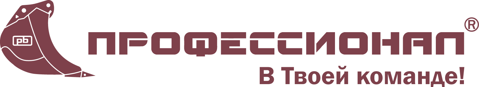 Профессионал