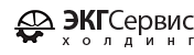 ЭКГСервисХолдинг